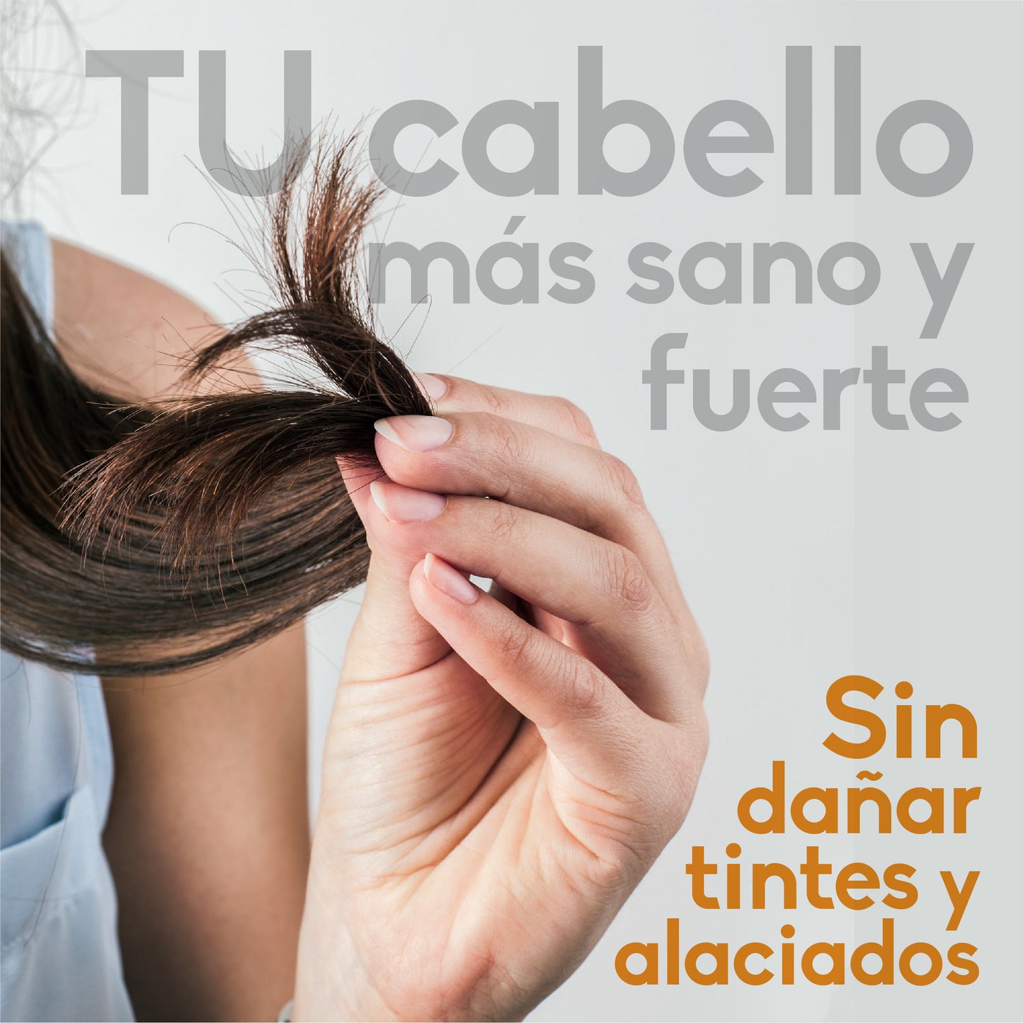 Shampoo de Caballo Nu Labs 500ml | Con Extractos Naturales | Pulpa de Sábila, Romero y Jojoba | PH Neutro | Cruelty-Free y Sin Parabenos | Detox Capilar y Stop Caída | Ideal para Cabello Dañado y Tinturado | Frescura con Aroma a Menta