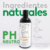 Kit Dúo Shampoo de Caballo 500ml | Tratamiento Detox Anticaída
