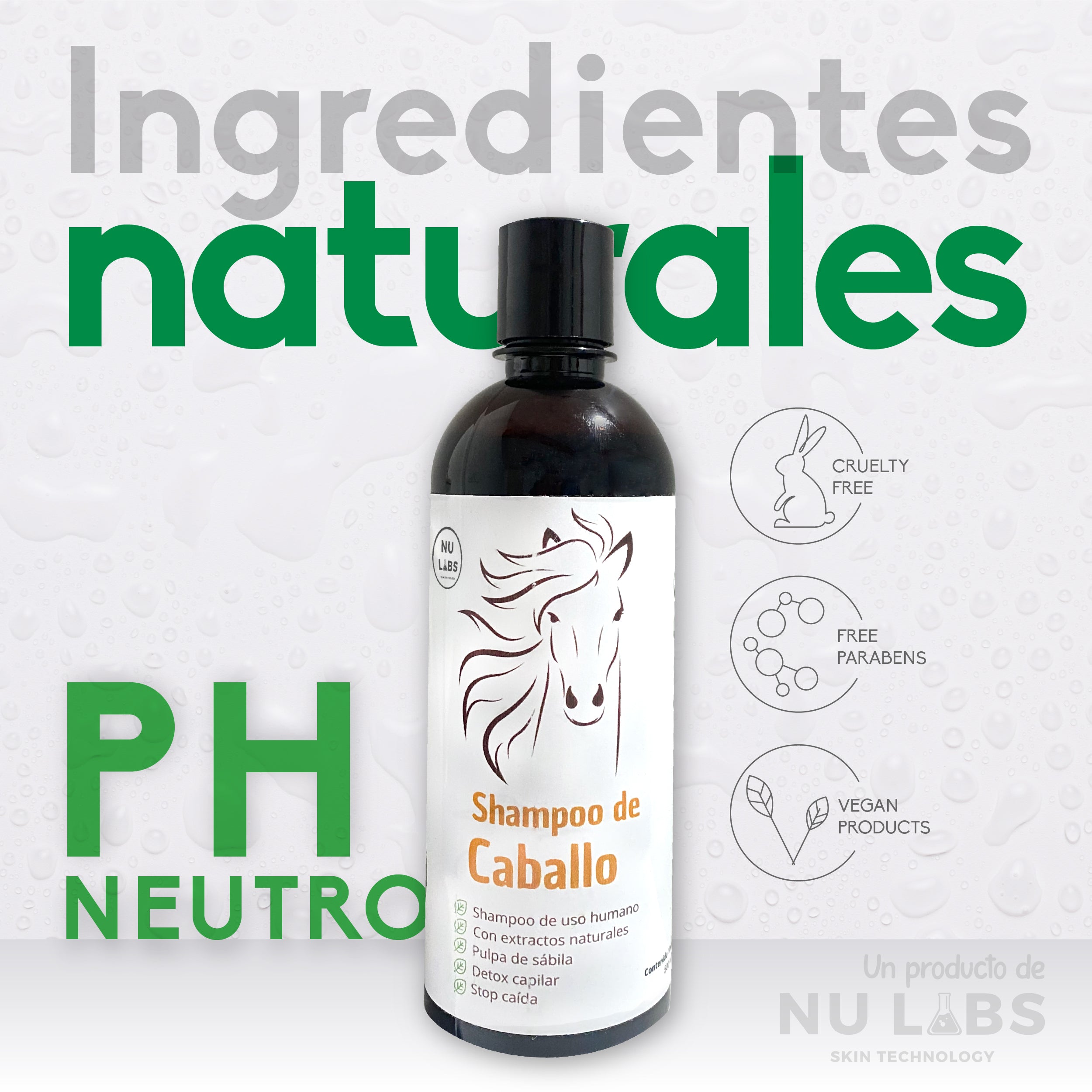 SHAMPOO_DE_CABALLO-04.jpg