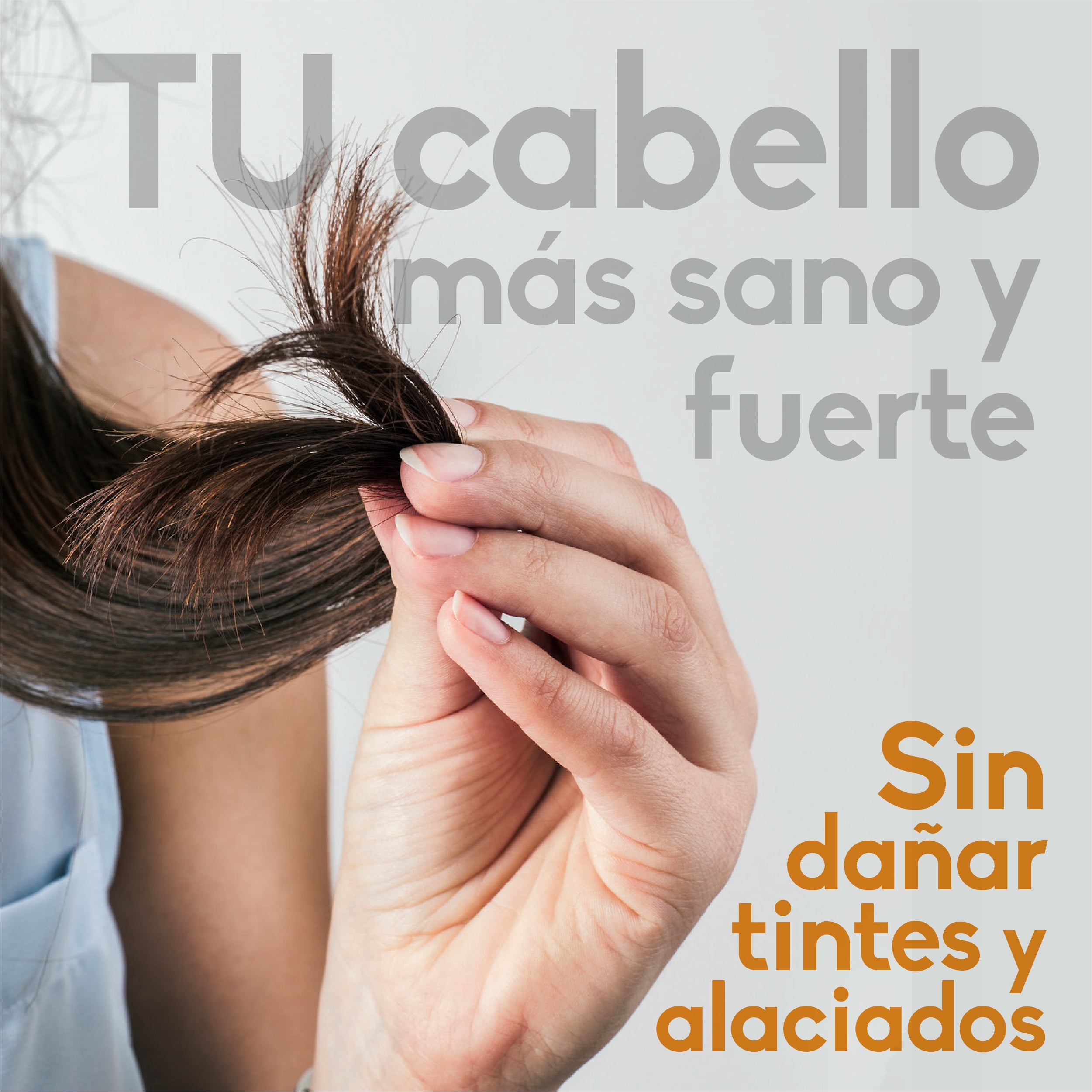 Kit Dúo Shampoo de Caballo 500ml | Tratamiento Detox Anticaída